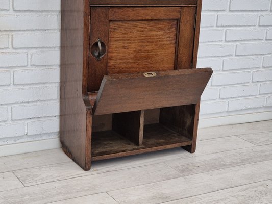 Vintage Scandinavian Wall Cabinet in Oak, 1950s-TMW-2042806