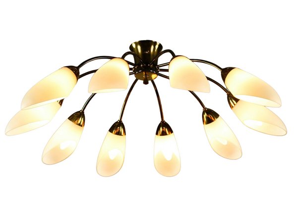 Vintage Spider Sputnik 10-Light Ceiling Light in Brass & Glass, 1950s-FUP-971536