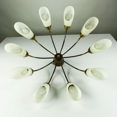 Vintage Spider Sputnik 10-Light Ceiling Light in Brass & Glass, 1950s-FUP-971536