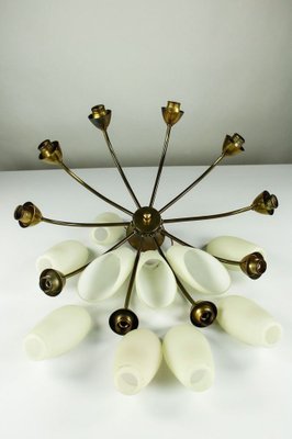 Vintage Spider Sputnik 10-Light Ceiling Light in Brass & Glass, 1950s-FUP-971536