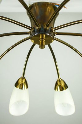 Vintage Spider Sputnik 10-Light Ceiling Light in Brass & Glass, 1950s-FUP-971536