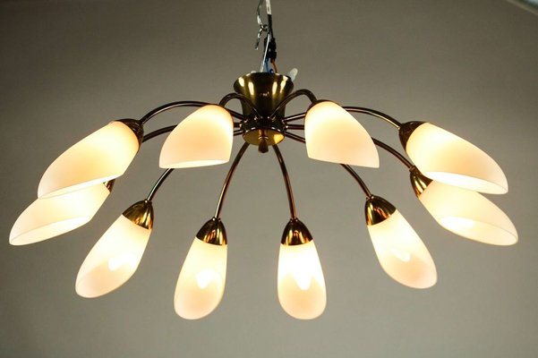 Vintage Spider Sputnik 10-Light Ceiling Light in Brass & Glass, 1950s-FUP-971536