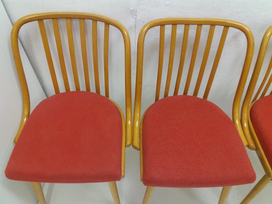 Vintage Suman Chairs & Table from Thonet, Czechoslovakia, 1960s, Set of 5-TZ-1225816