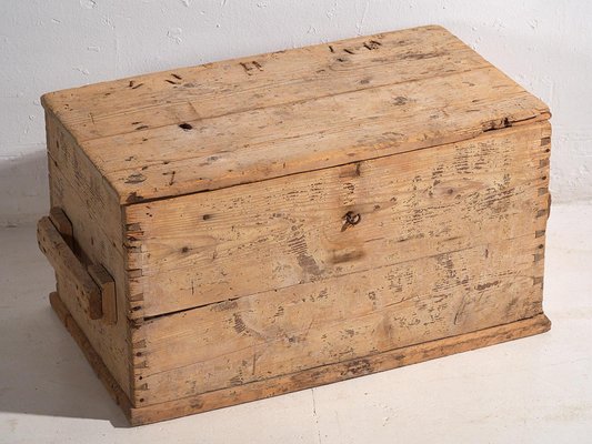 Vintage Washed Wood Trunk, 1920-ZNJ-2035292