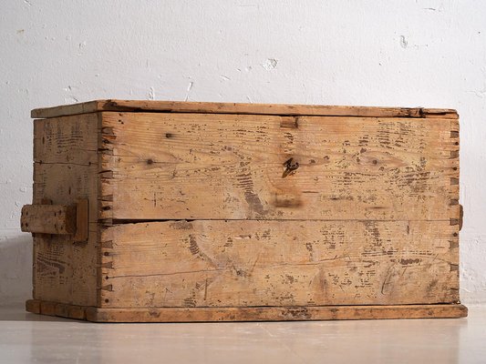 Vintage Washed Wood Trunk, 1920-ZNJ-2035292