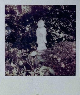 Vito Difilippo, Buddha pt.2, Photographic Paper-ZCI-2018736