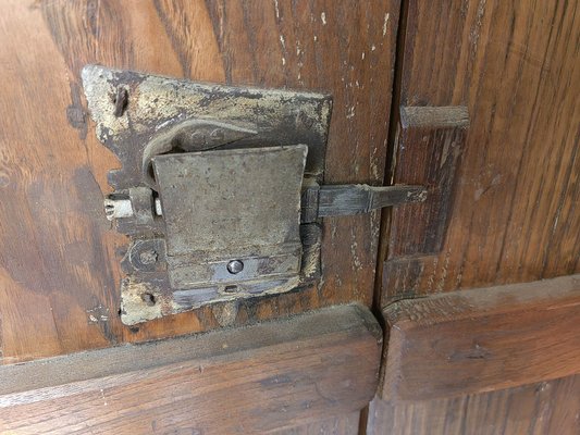 Wall Panel in Chestnut with Carvings on the Front-ZFY-1735196