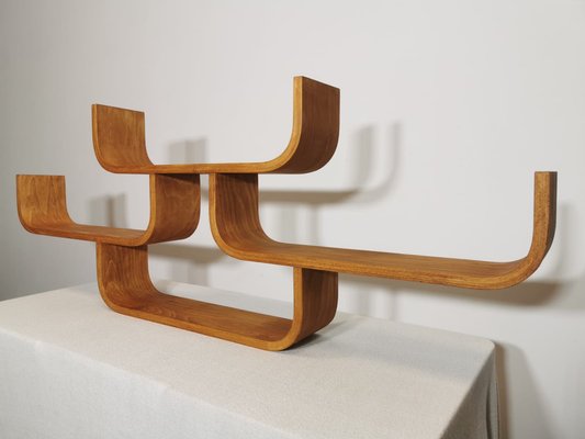 Wall Shelf attributed to Ludvik Volak-QJA-1763231