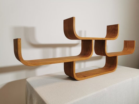 Wall Shelf attributed to Ludvik Volak-QJA-1763231