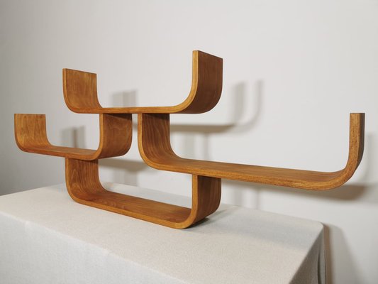 Wall Shelf attributed to Ludvik Volak-QJA-1763231