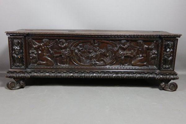 Walnut 19th Century Walnut Cassone Chest-WSV-1802270