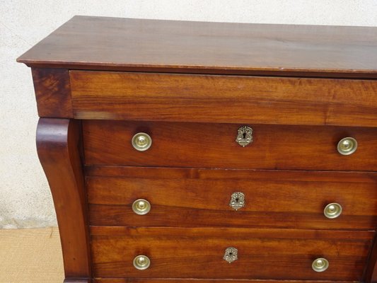 Walnut Stock Chest of Drawers-ABK-2020180