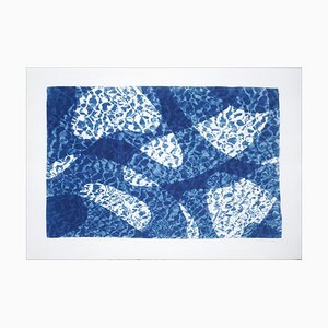 Water Reflection of Fish Under Water, Pool Monotype, Cyanotype in Blue Tones, 2021-RWC-904054