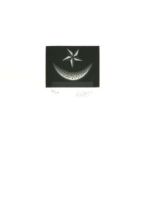 Watermelon and Star - Original Etching on Paper by Mario Avati - 1970s 1970s-ZCI-767578