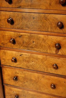 Wellington Chest of Drawers-CUP-970209