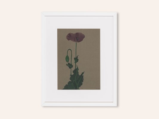 Werner Oberdörffer, Poppy, Watercolor on Paper, Framed-GPP-1125769