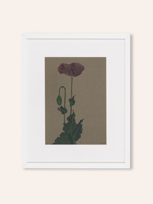 Werner Oberdörffer, Poppy, Watercolor on Paper, Framed-GPP-1125769