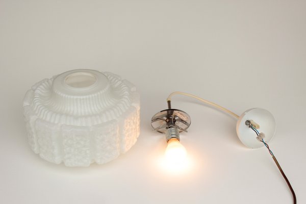 White Opal Glass Pendant Light in the Shape of a Flower from Limburg, 1970s-DUM-2027065