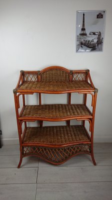 Wicker and Rattan Console Shelf-AJN-1448825