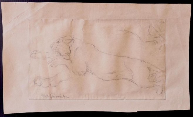 Wilhelm Lorenz, Study of Lion, Pencil Drawing, 1933-ZCI-900780