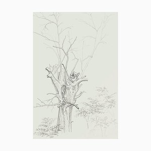 Winter Tree - Original Pencil Drawing by French Master mid 20th Century Mid 20th Century-ZCI-762002