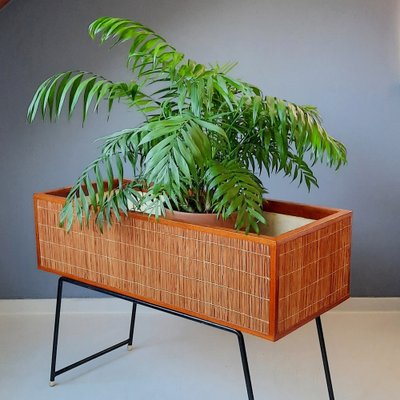 Wood and Rattan Planter, 1960s-SJU-1816598