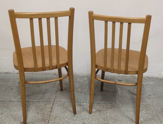 Wood Dining Chairs, Former Czechoslovakia, 1960s, Set of 2-ZWG-1820892