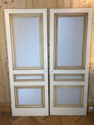 Wooden Cupboard Doors, Set of 2-DY-2036497