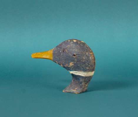 Wooden Duck Head, Tuscany-VLO-1137414