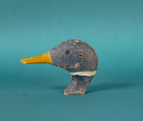 Wooden Duck Head, Tuscany-VLO-1137414