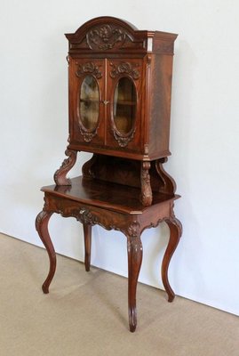 Writer Showcase in Mahogany, 1850s-RVK-1063811