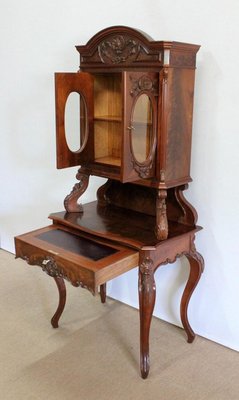 Writer Showcase in Mahogany, 1850s-RVK-1063811