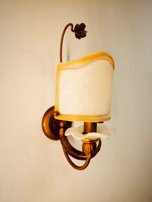 Wrought Iron Wall Light with Glass Fan-QLH-2035897