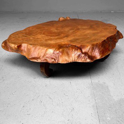 Yakusugi Burl Wood Plant Stand, Japan, 1950s-DWL-1702562