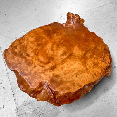 Yakusugi Burl Wood Plant Stand, Japan, 1950s-DWL-1702562