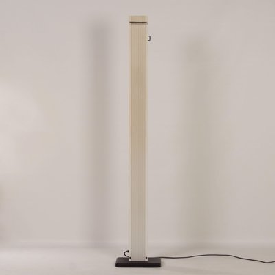 Zagar Floor Lamp by Sergio Carpani for Stilnovo, 1980s-ZT-1323190