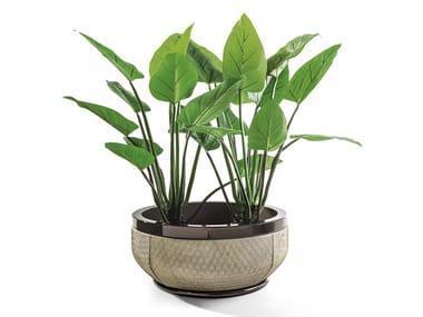 GODWIN CACHEPOT - Round plant pot by Longhi